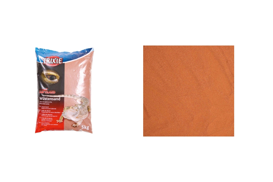 ARENA DEL DESIERTO REPTILES