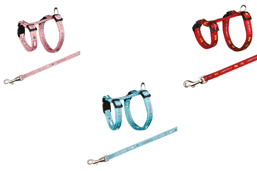 ARNES CON CORREA PARA CONEJOS ENANOS 20–33 CM/8 MM
