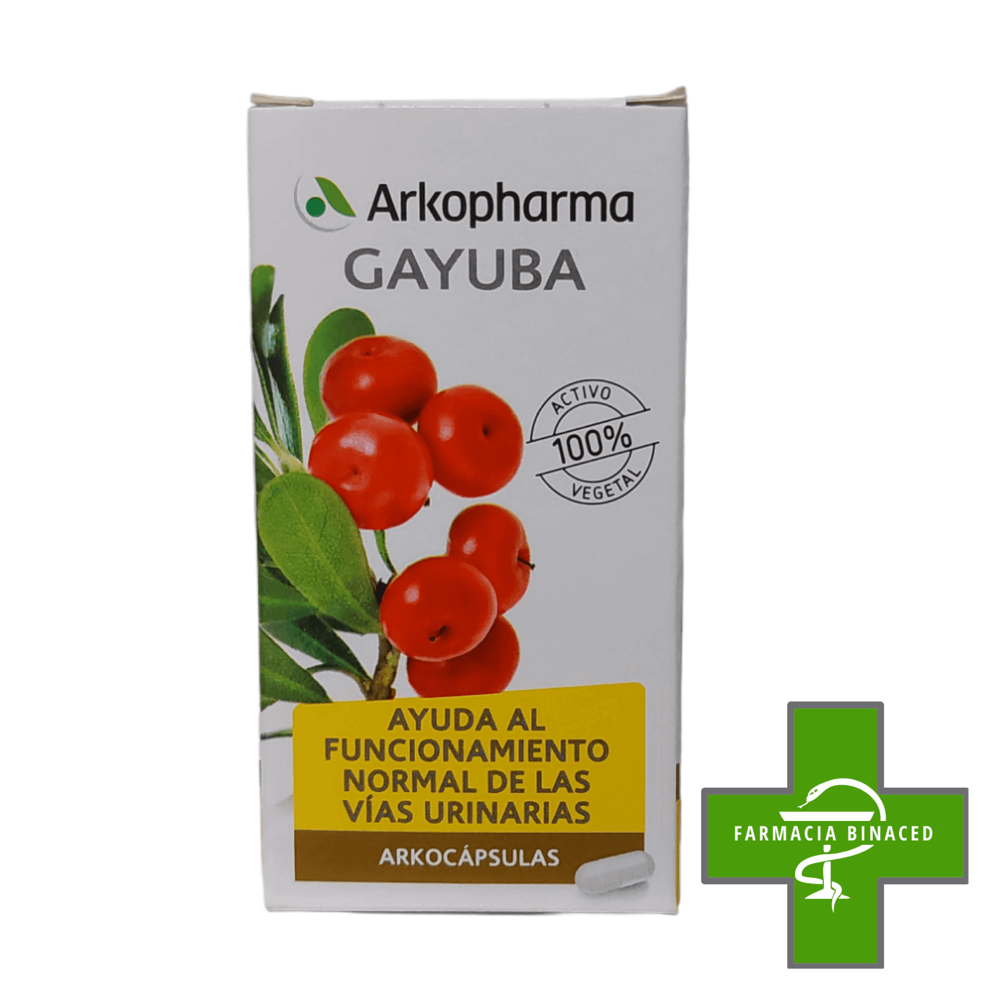 ARKOCAPSULAS GAYUBA 48 CAPS_2